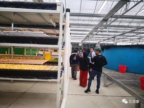 從引進來到走出去,農(nóng)業(yè)無國界,與百源康工廠化魚菜共生一起合作求共贏